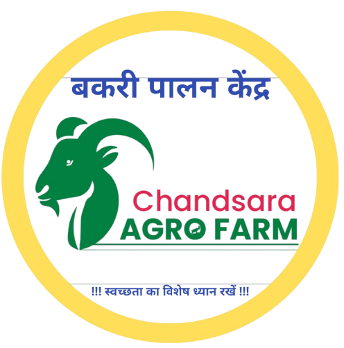 chandsaraagrofarm